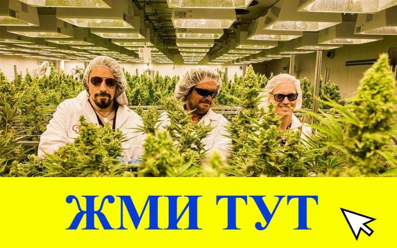 Купить наркотики в Тавде